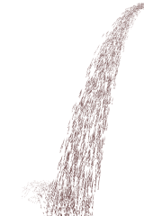 INSITUFORM Ergebnis 2007 - 4. Quartal & Gesamt 152507