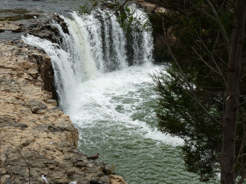 Banken in der Euro - Zone 589031