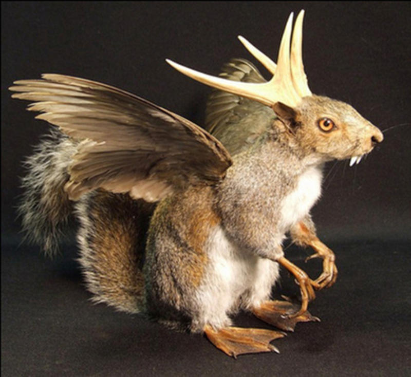 NEL, der Wasserstoffplayer aus Norwegen 1322191