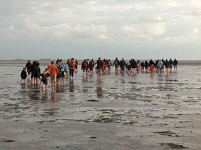 QV ultimate 2012 563279