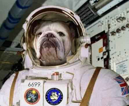 754.DAX Tipp-Spiel, Dienstag, 01.04.08 157274