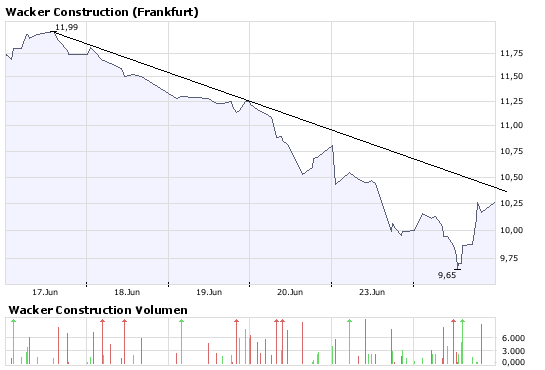 Wacker Construction Equipment -low vib 171100