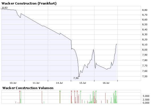 Wacker Construction Equipment -low vib 175309