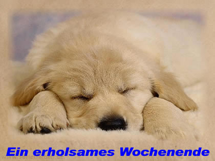 416.DAX Tipp-Spiel, Freitag, 24.11.06 68347