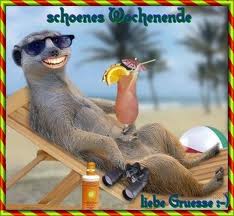 2014 QV DAX-DJ-GOLD-EURUSD-JPY 719518