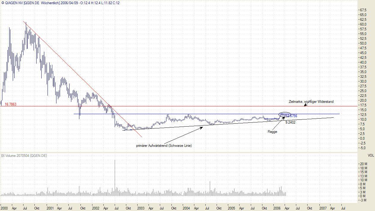 Qiagen N.V. - Flagge- technisches Kursziel 16,70€ 36706