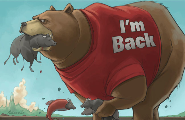 Der USA Bären-Thread 1130314