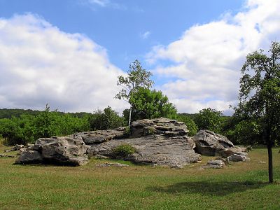 597.DAX Tipp-Spiel, Mittwoch, 15.08.07 114699