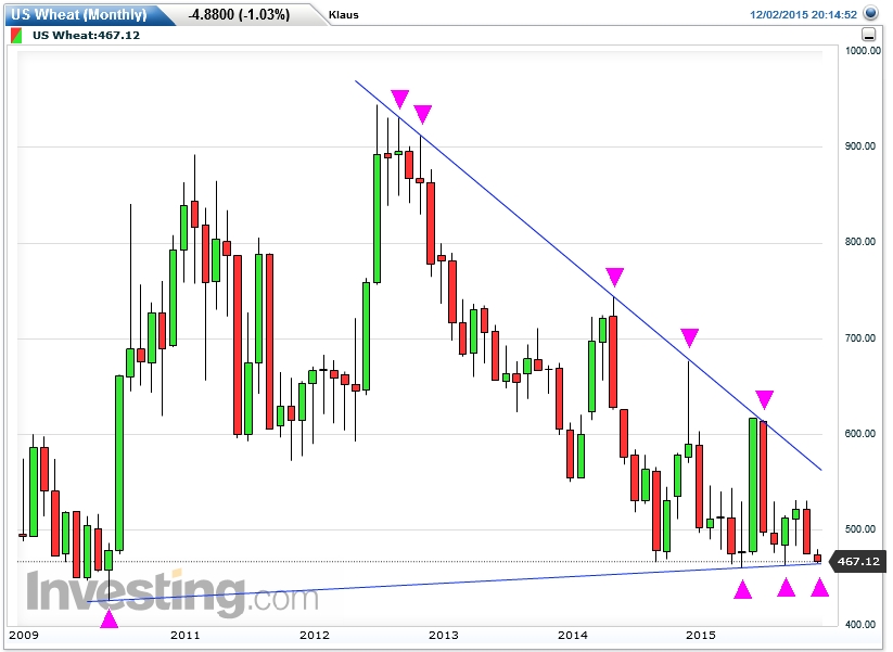 Der USA Bären-Thread 875874