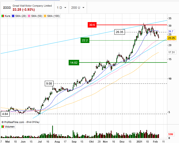 Great Wall Motor 1231586