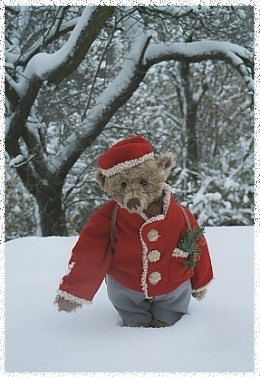 QV ultimate 2012 562936