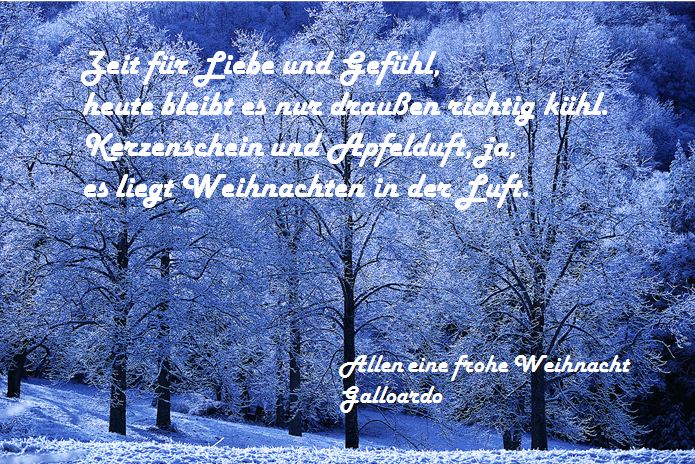 Der EUR/USD 2,0 Thread 368300