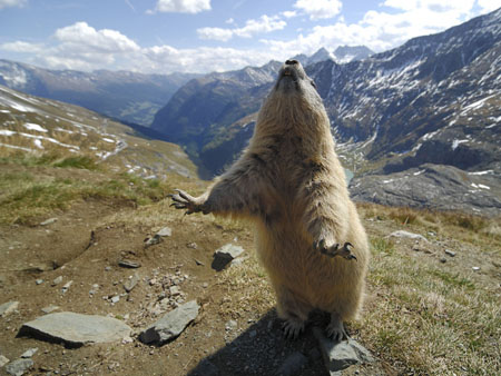 1.470.DAX Tipp-Spiel, Freitag , 21.01.2011 374314