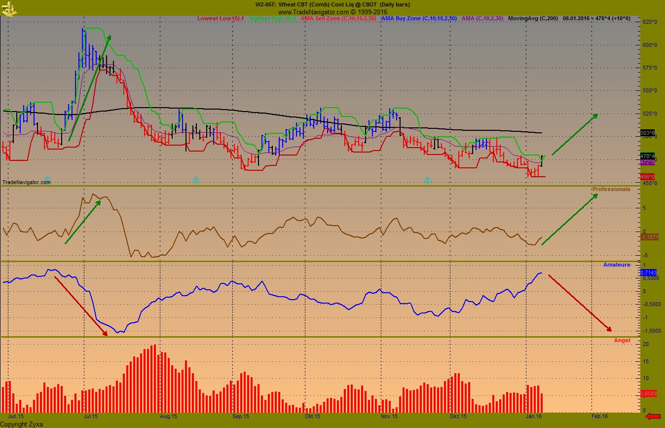 Endlich erfolgreiches Trading mit Rohstoffen 884186