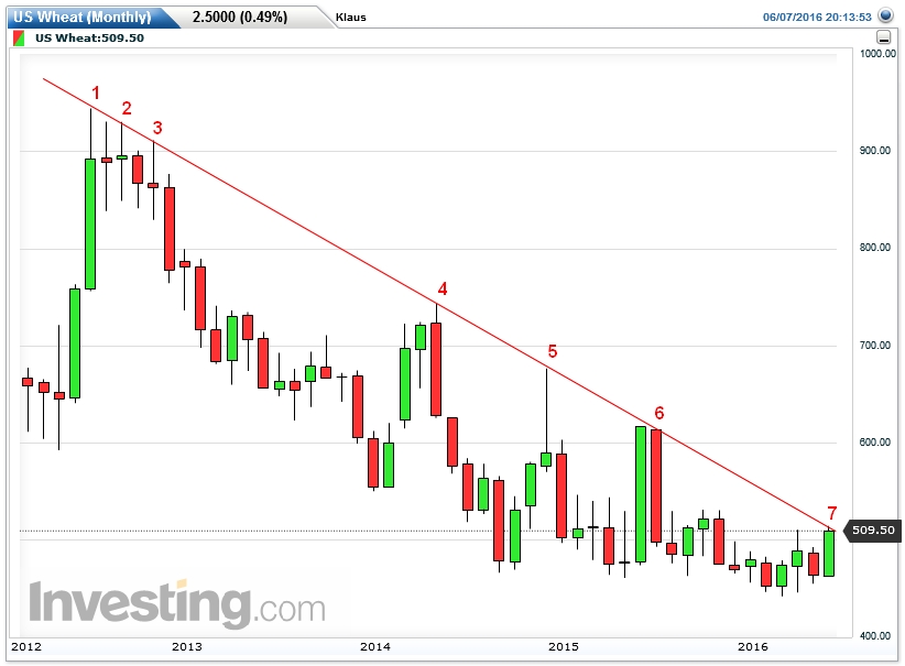 Der USA Bären-Thread 918926