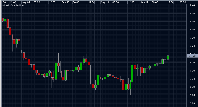 Die Bullen scharren gar nicht mit den Hufen, 185935