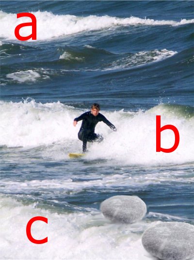 Der USA Bären-Thread 117930