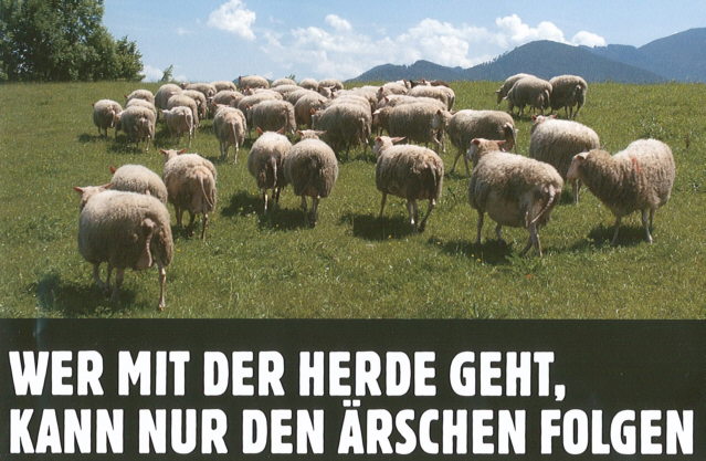 Die Welt steht kurz vor dem Crash 286616