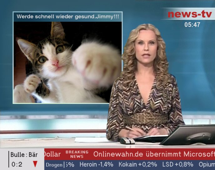 1.060.DAX Tipp-Spiel, Dienstag,16.06.09,17:45 Uhr 238943