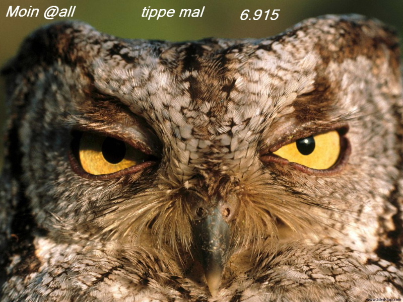 767.DAX Tipp-Spiel, Freitag, 18.04.08 160338