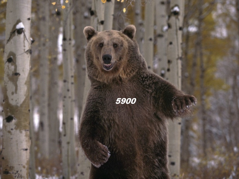 1.312.DAX Tipp-Spiel, Freitag, 11.06.10 325928