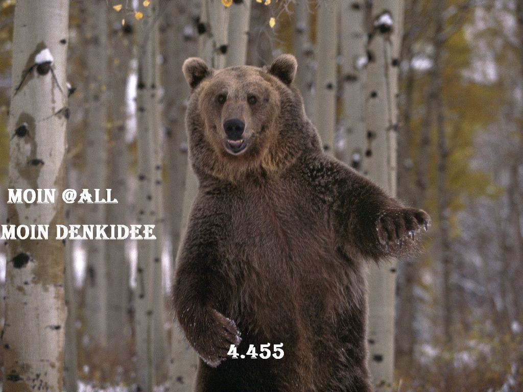 1016.DAX-Tipp-Spiel, Dienstag 14.04.09 227017