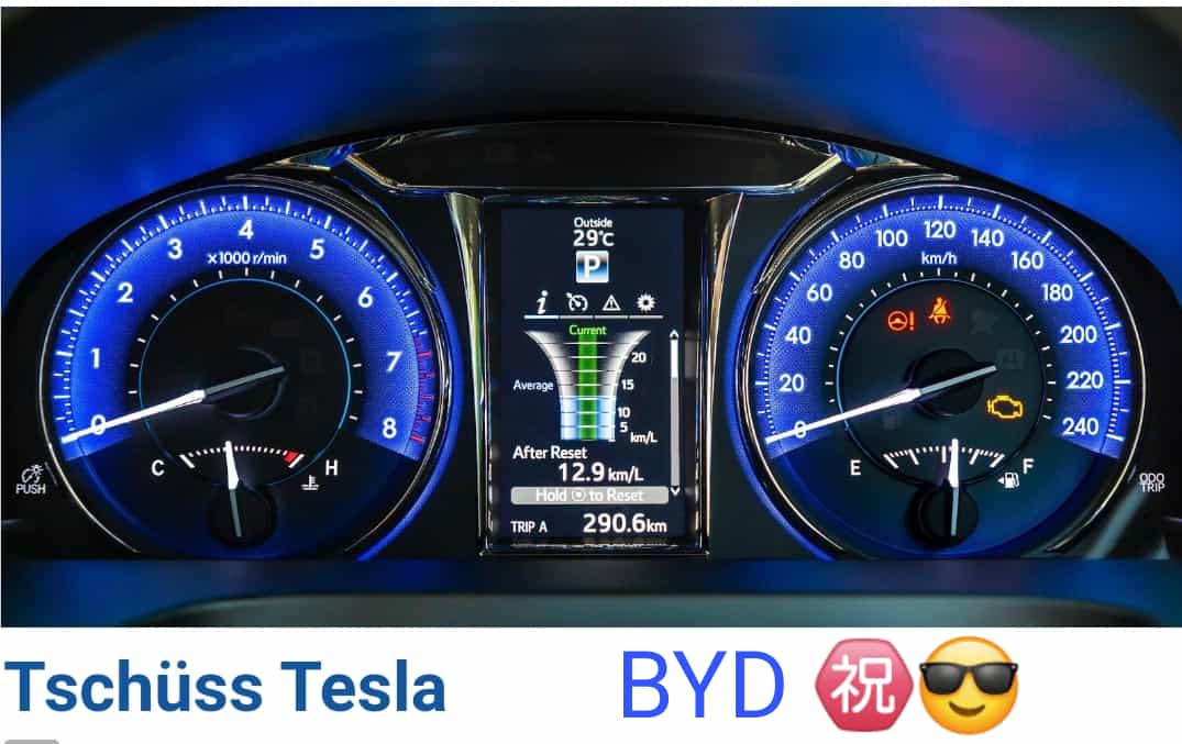 Auto- und Batterien-Herstellers BYD 1162281