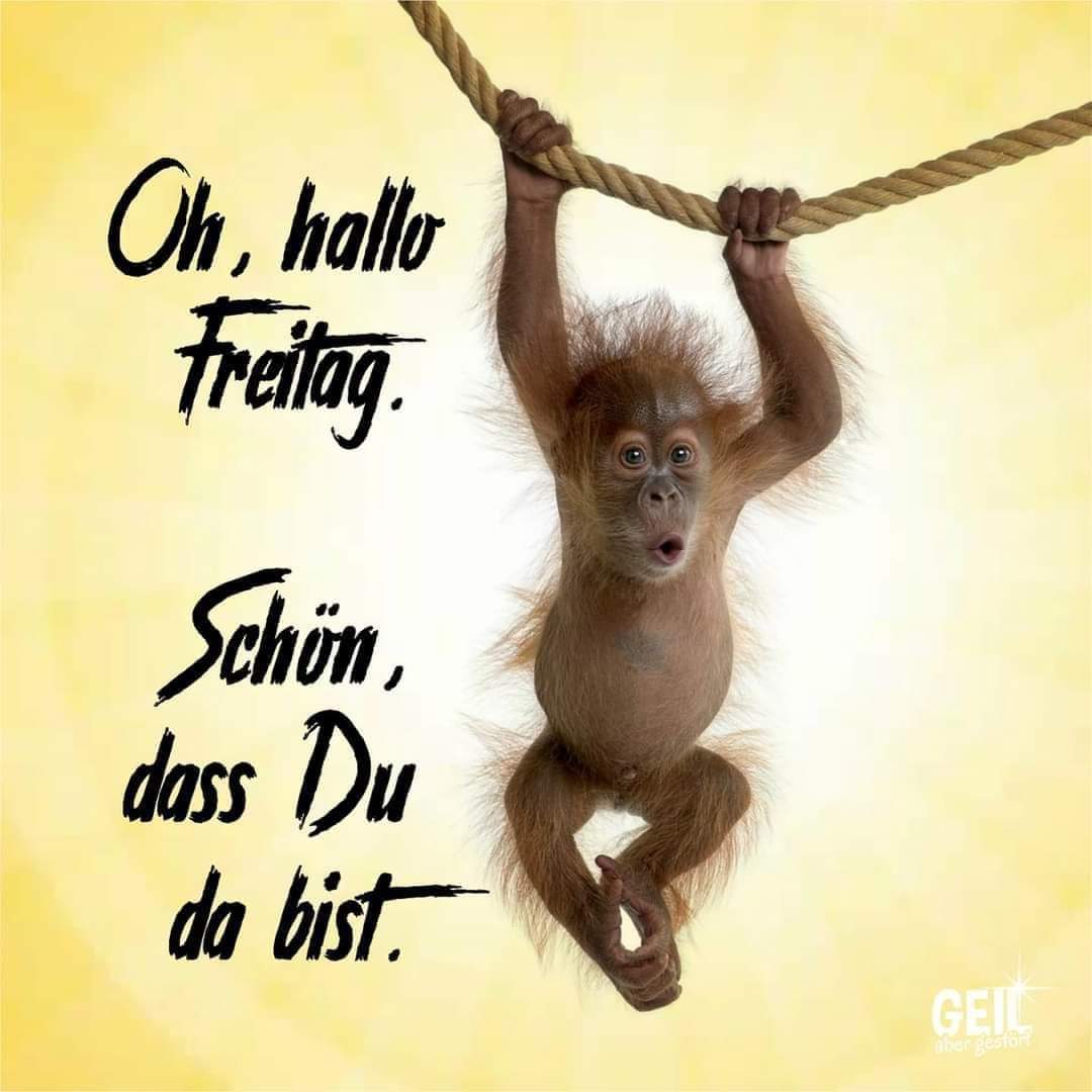 Hypersolar im Jahr der Brennstoffzelle 2014 1251416