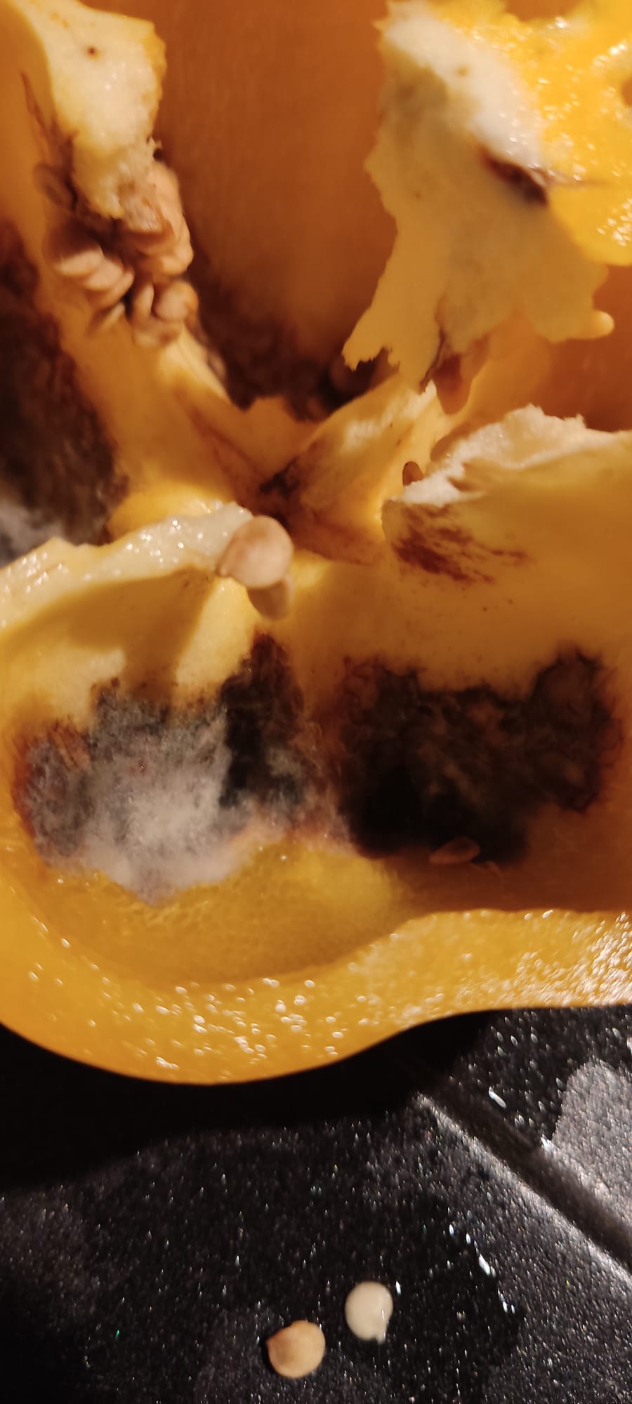 HF - Auf dem Weg zur 5 Milliarden MK 1503533