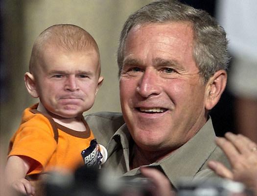 Der USA Bären-Thread 424615