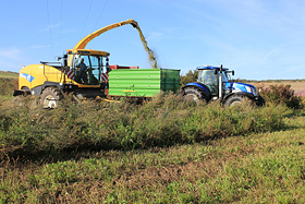 Aqua Society neuer Hype?? 399227