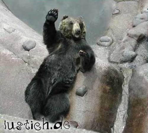 Quo Vadis Dax 2011 - All Time High? 374112