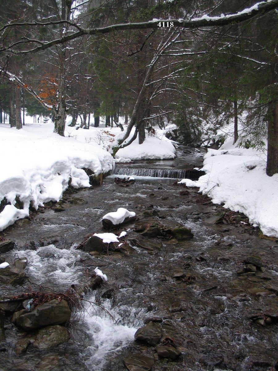 982.DAX Tipp-Spiel Montag,23.02.09.17.45 Uhr 217606