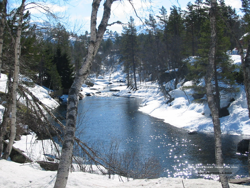 936.DAX Tipp-Spiel *Freitag* 12.12.08, 17.45 Uhr 204869