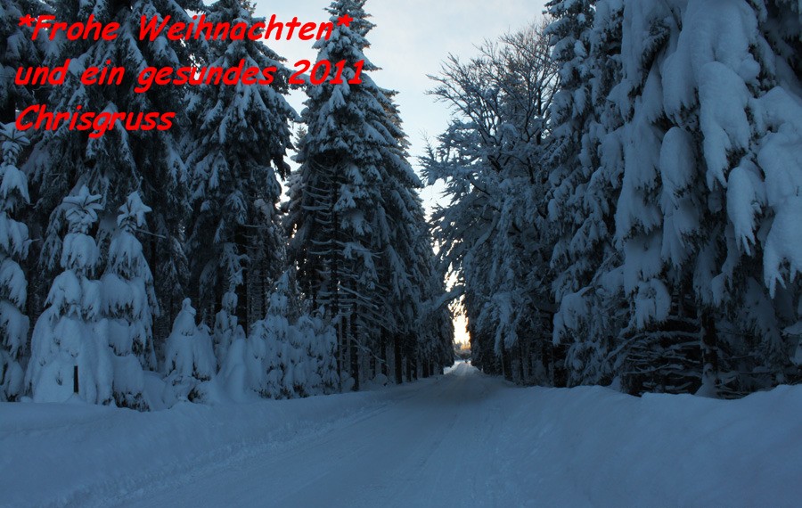 Thompson Creek Metals (Blue Pearl Mng) 368352