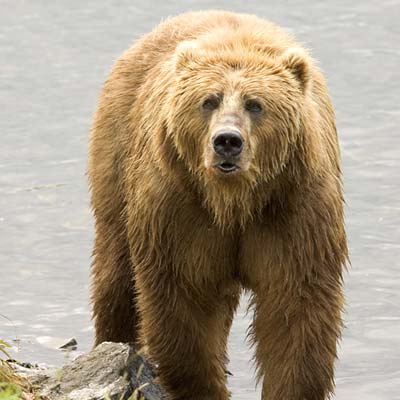 Quo Vadis Dax 2011 - All Time High? 374118