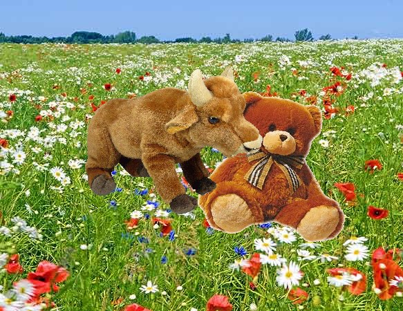 Quo Vadis Dax 2011 - All Time High? 373367