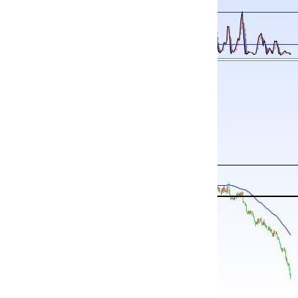 Der USA Bären-Thread 1036073