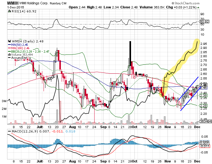 WMI Holdings ! Gibt es eine Alternative ? 875601