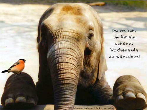 857.DAX-Tipp-Spiel **Montag** 25.08.08-17.45 Uhr 181618