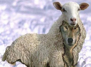 Injex AG - Wahrheit und Träumerei 568631