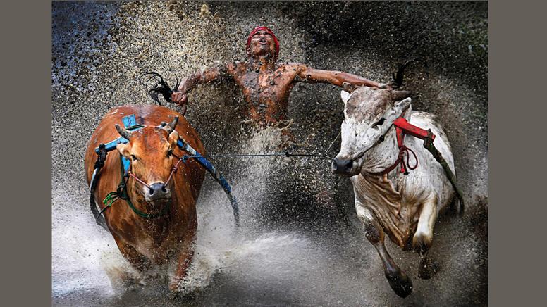 QV ultimate (unlimited) 579613