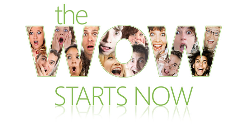 Die Bullen scharren gar nicht mit den Hufen, 211351