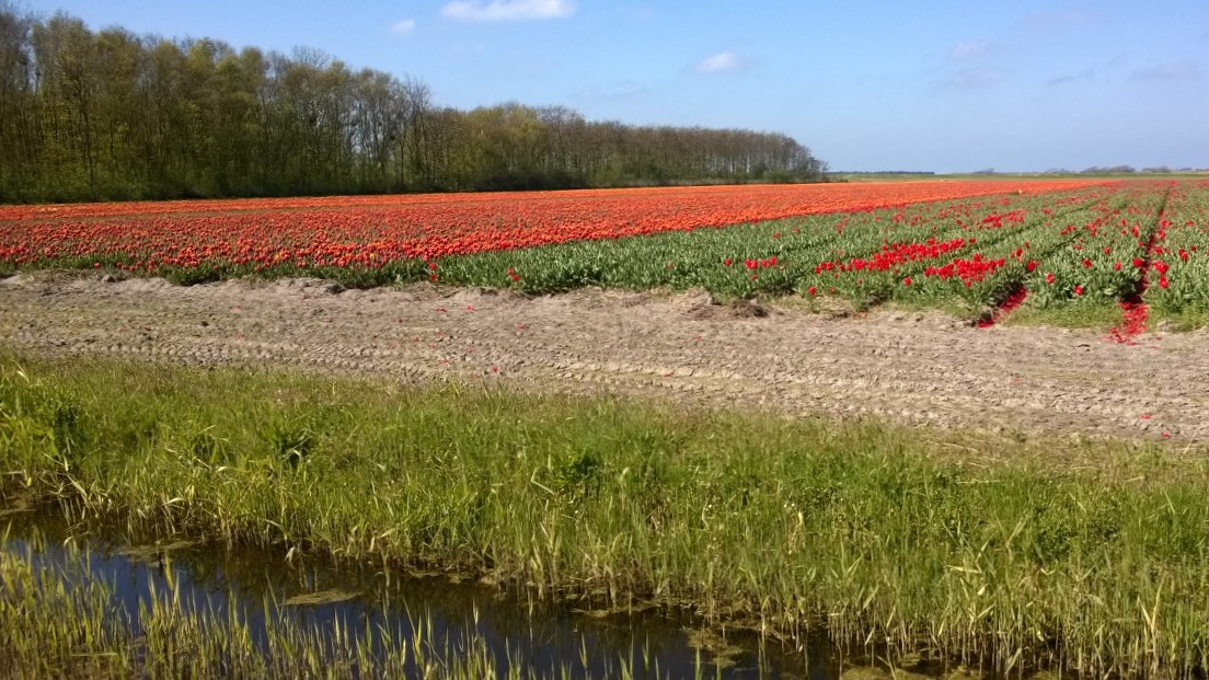 knock-outs unlimited 716501