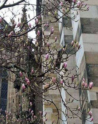 Paion: Daten / Fakten / Nachrichten / Meinungen 1164278