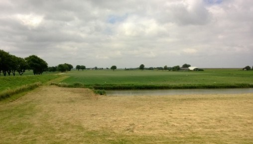 Wesleys Flugschule - US Auslese 659601