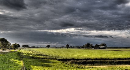 Wesleys Flugschule - US Auslese 659602