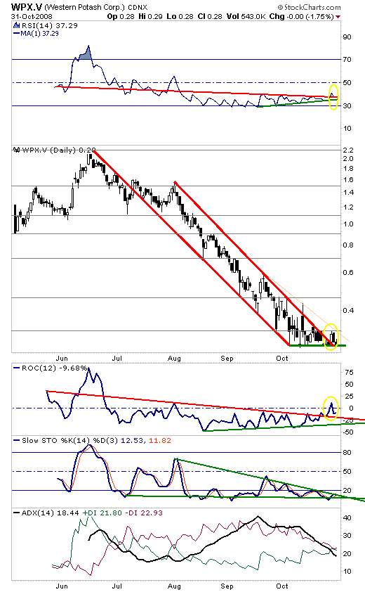 Western Potash Corp. - Kali als Kurstreiber. 196723