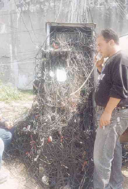 Q-Cells - der Krisegewinner in Deutschland! Warum? 402314