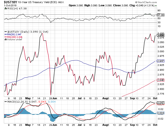 Der USA Bären-Thread 1076761